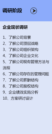 落地流程-调研阶段